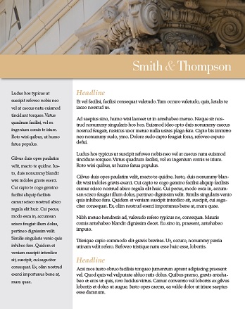 Law Firm Resume Sample Image